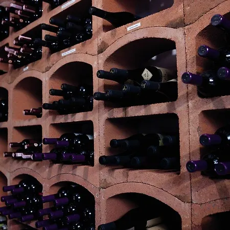 Radisson Blu Limfjord Hotel, 4* Ålborg