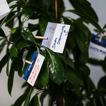 酒店 奥尔堡利姆海峡丽笙酒店