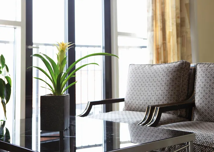 Radisson Blu Limfjord Hotel, Hotel 4*